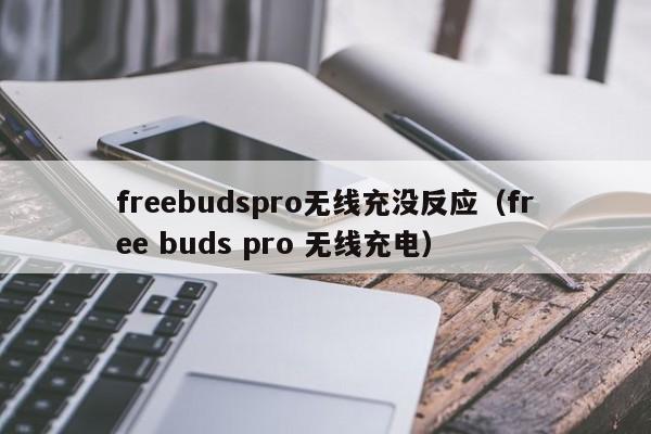 freebudspro无线充没反应(free buds pro 无线充电)