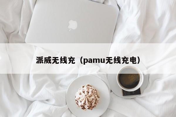派威无线充(pamu无线充电)