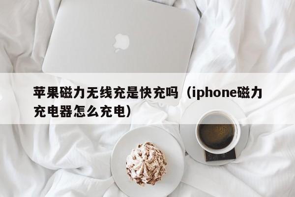 苹果磁力无线充是快充吗(iphone磁力充电器怎么充电)
