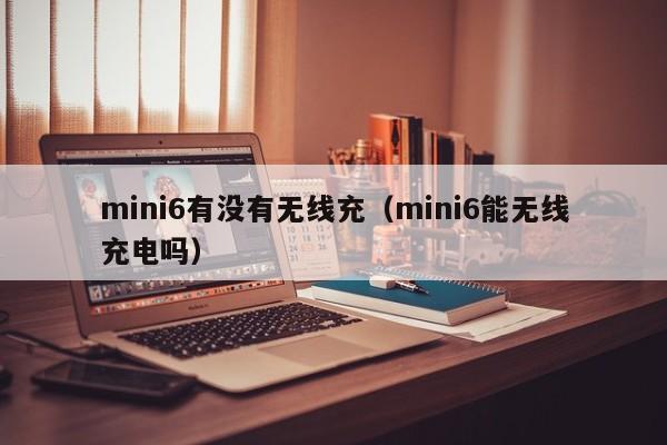mini6有没有无线充(mini6能无线充电吗)