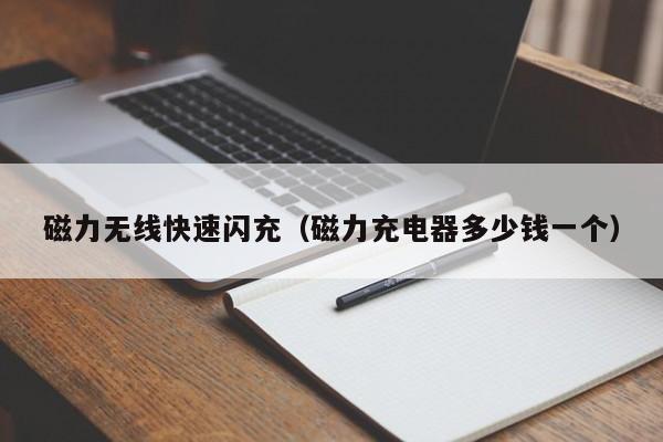 磁力无线快速闪充(磁力充电器多少钱一个)