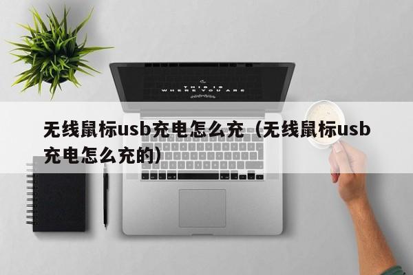 无线鼠标usb充电怎么充(无线鼠标usb充电怎么充的)