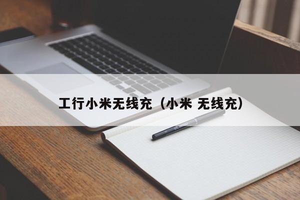 工行小米无线充(小米 无线充)
