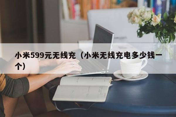 小米599元无线充(小米无线充电多少钱一个)
