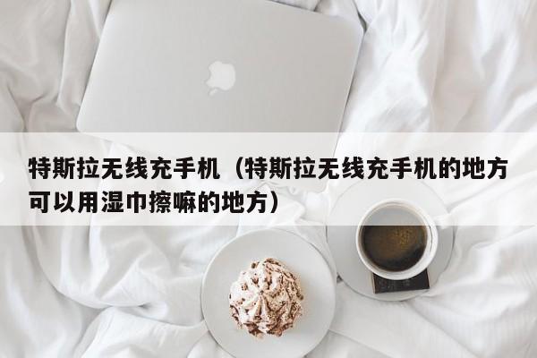 特斯拉无线充手机(特斯拉无线充手机的地方可以用湿巾擦嘛的地方)