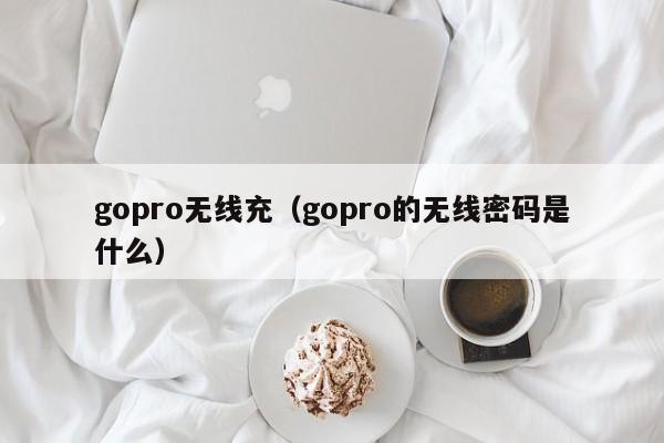 gopro无线充(gopro的无线密码是什么)