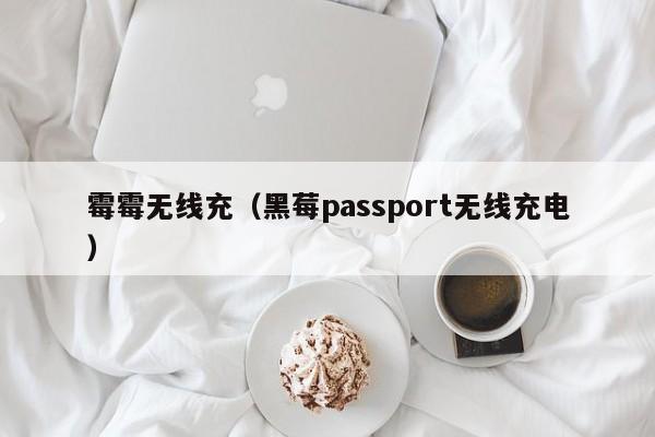 霉霉无线充(黑莓passport无线充电)